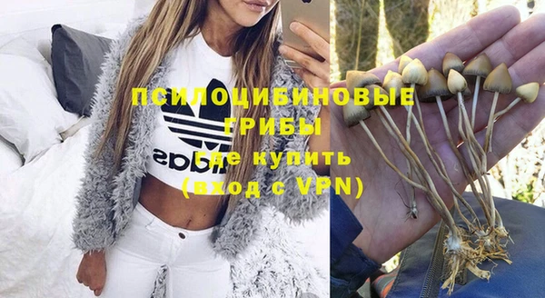 индика Навашино