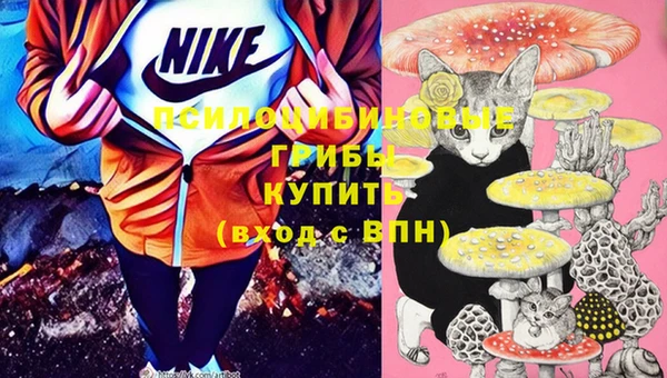 бошки Нея