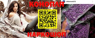 амф Камышлов