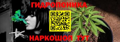 амф Камышлов