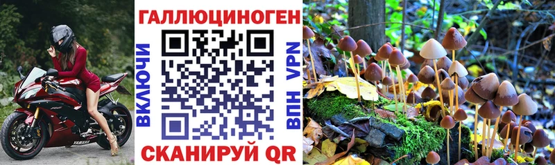 Псилоцибиновые грибы Magic Shrooms  Нижнекамск 